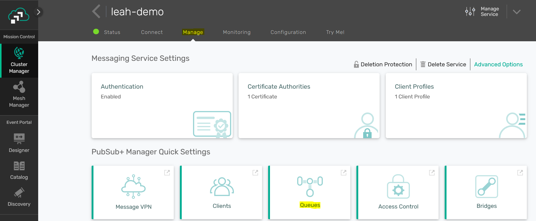 Solace Messaging Servie Manage Tab Solace Manage Queues